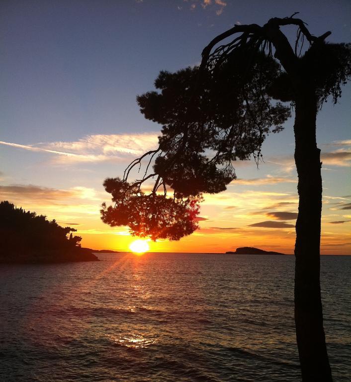 Epidaurum Apartments Cavtat Oda fotoğraf